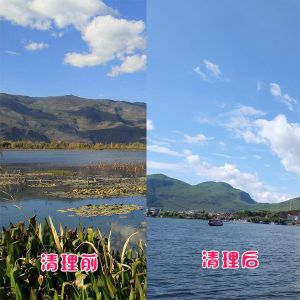 洱?？蛻艉此萸謇硇Ч故?></div>
														<div   id=